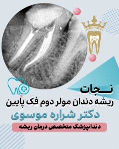 دکتر شراره موسوی زاهد