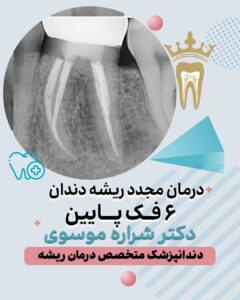 دکتر شراره موسوی زاهد